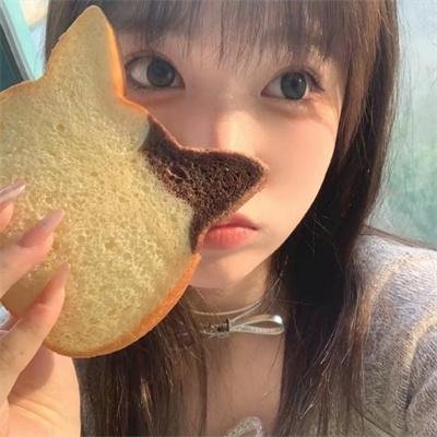 仇岗卫士